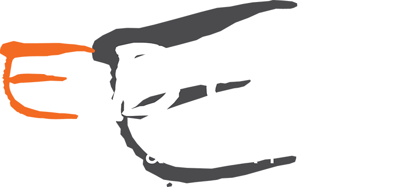 EDGE Signs and Graphics