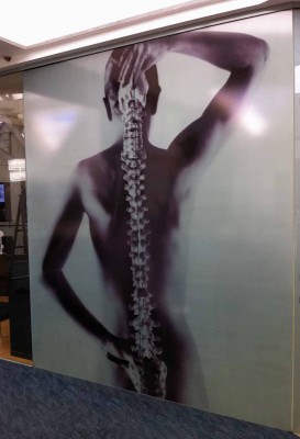 13. Raw Therapies Window Frosting 2