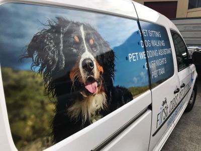 first class pet sitting